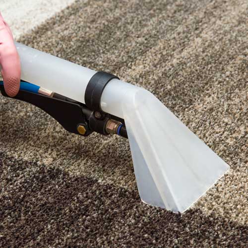 Floor cleaning | Echo Flooring Gallery