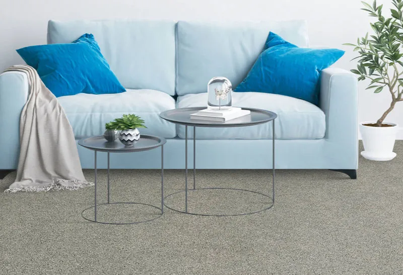 carpet-landing-page Ice blue sofa on carpet | Echo Flooring Gallery